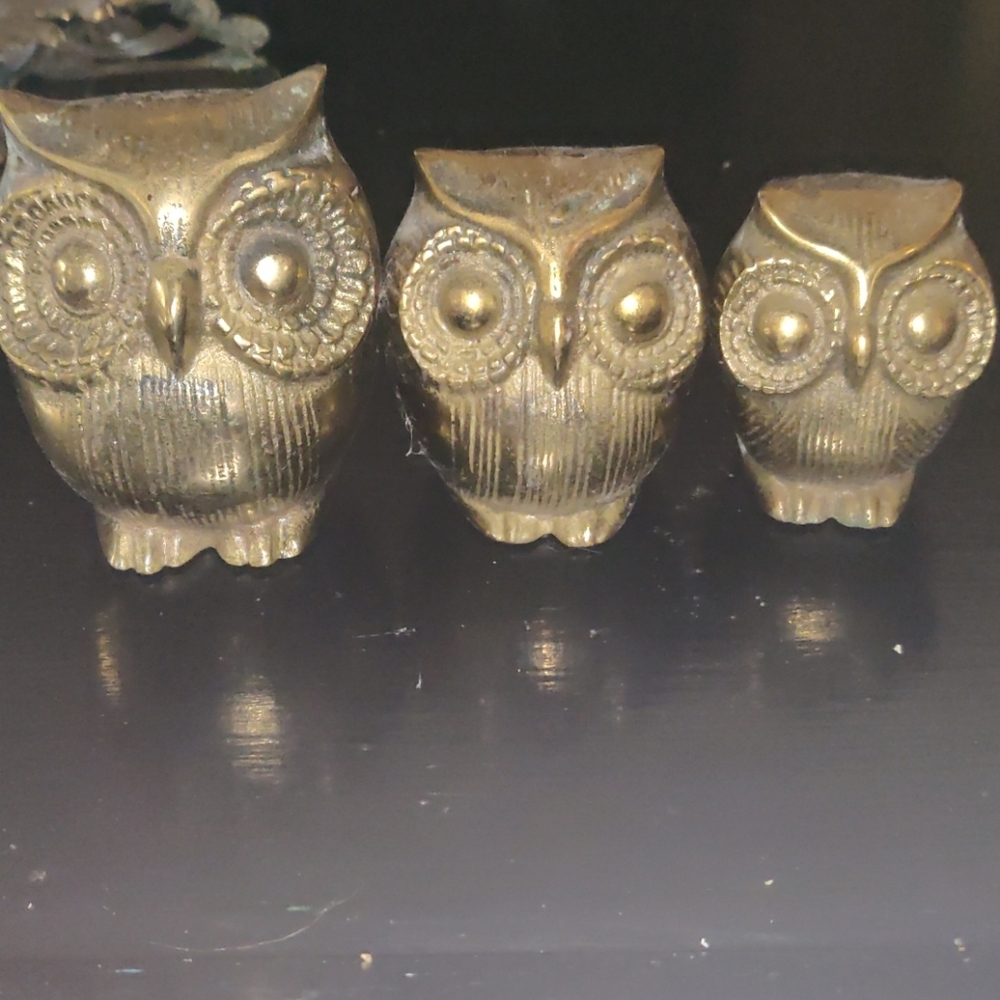 Brass owls - Picture 2 of 7